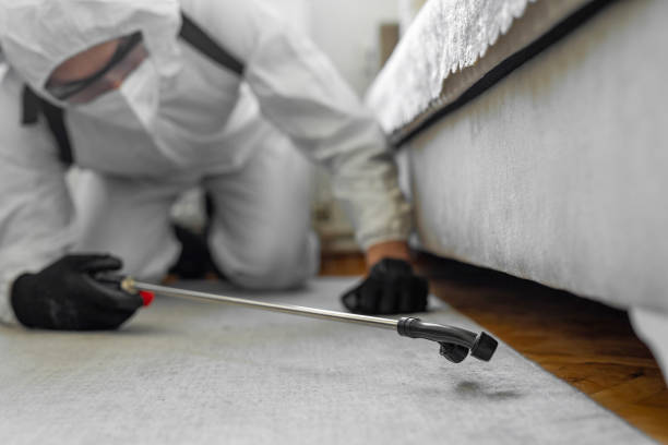 Professional Bed Bug Control technician working in Salamanca, NY